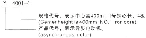 西安泰富西玛Y系列(H355-1000)高压YKS4506-6/500KW三相异步电机型号说明