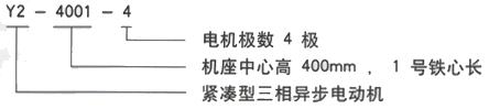 YR系列(H355-1000)高压YKS4506-6/500KW三相异步电机西安西玛电机型号说明